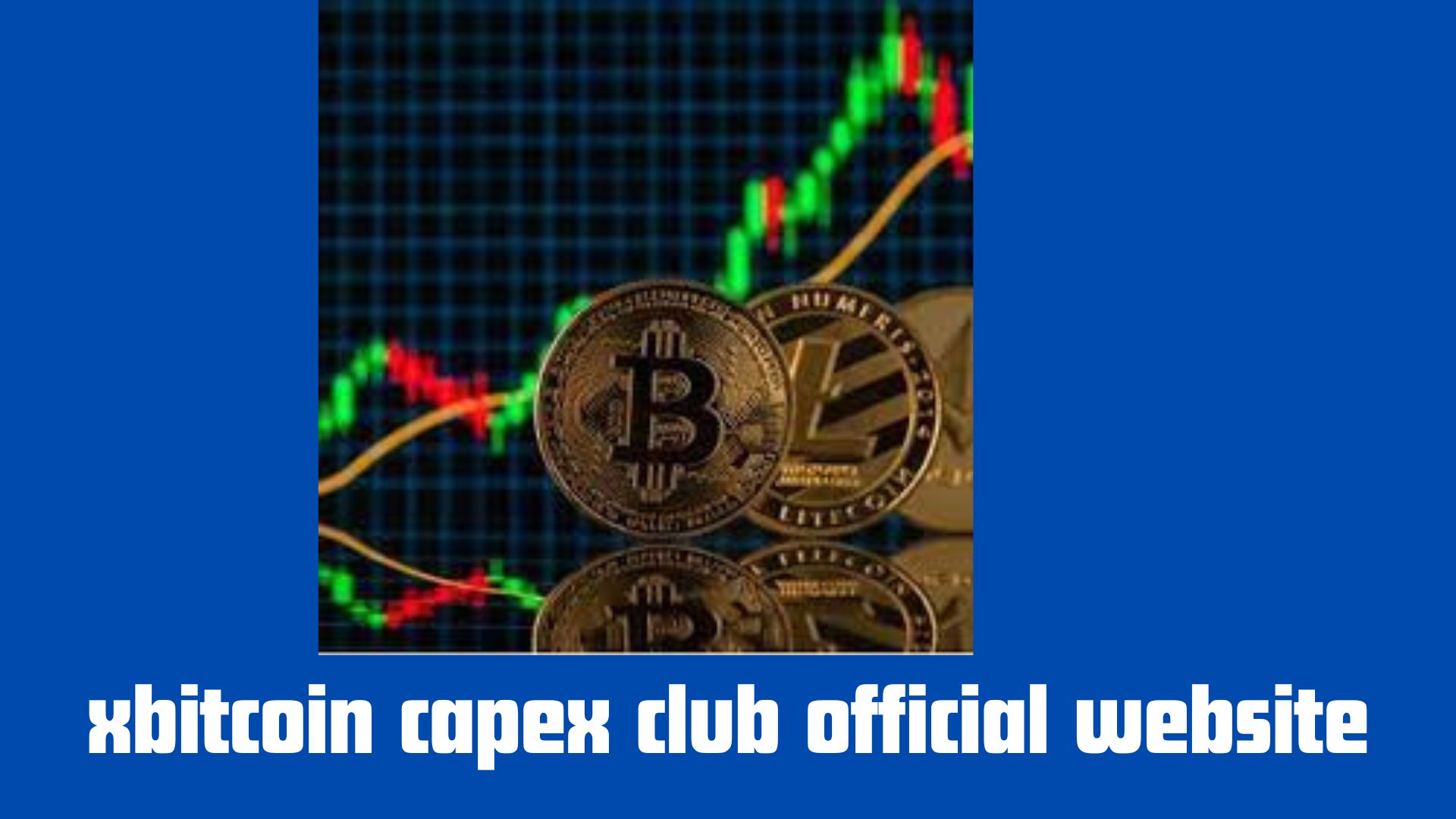 xbitcoin capex club official website