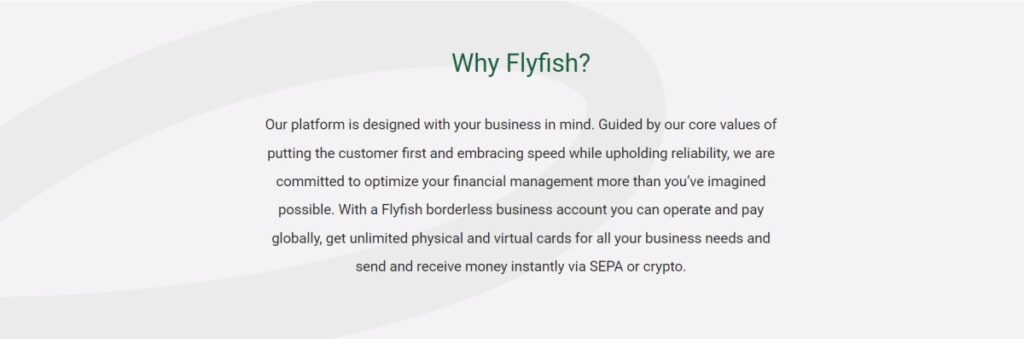 Flyfish Review 